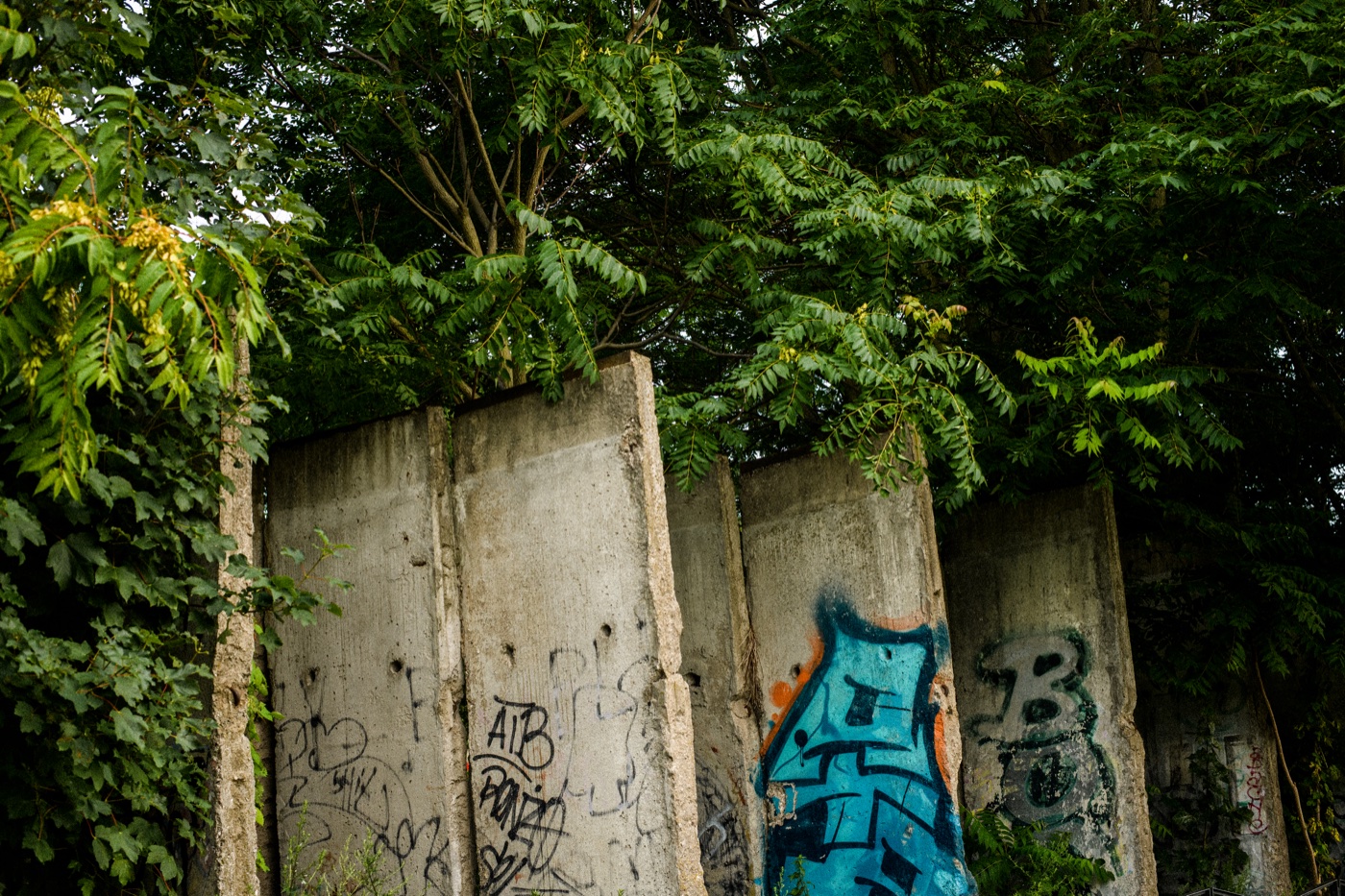 Preserved sections of the Berlin Wall under climbing vegetation along the Bernauer Stra&szlig;e memorial corridor.